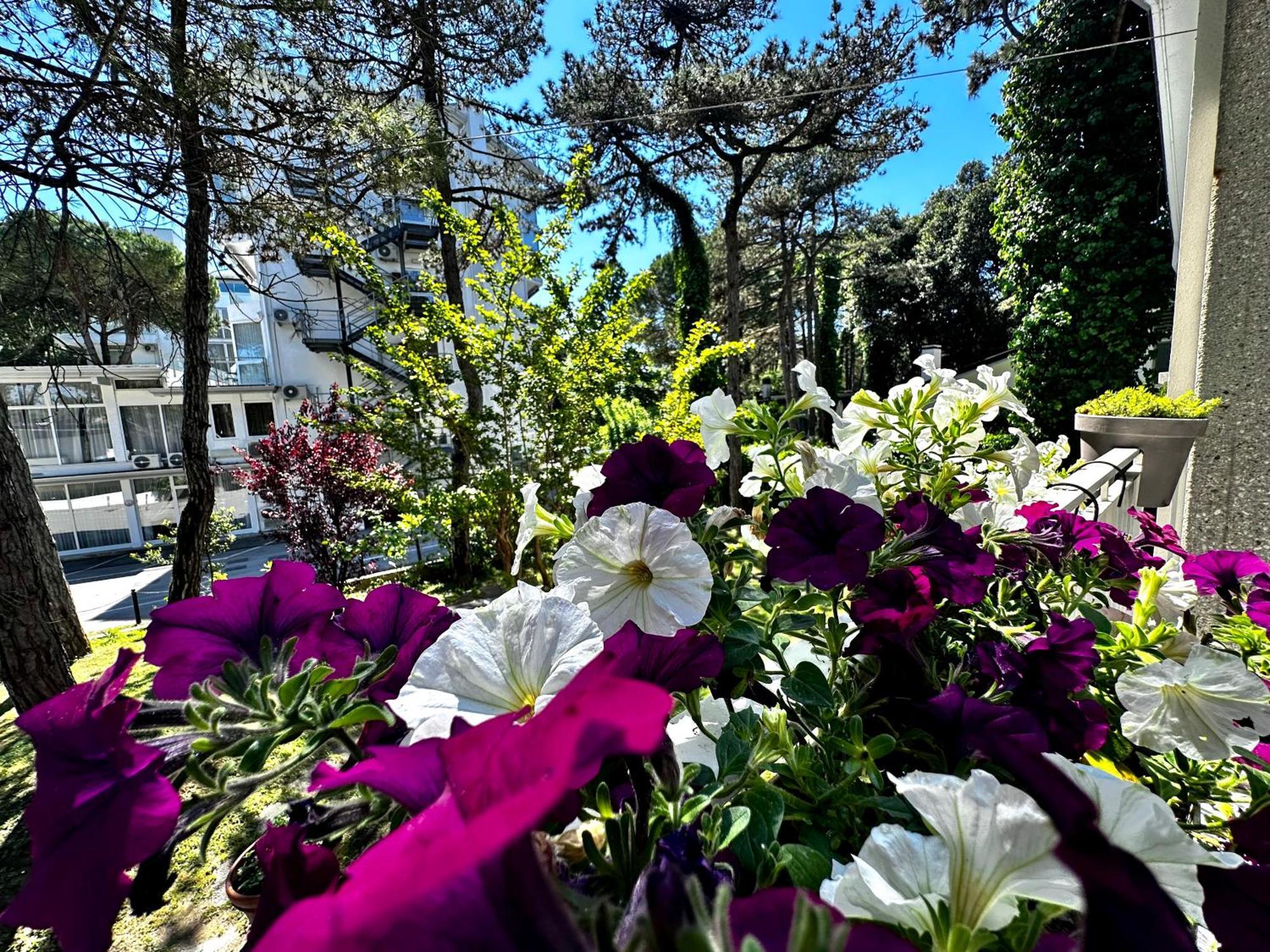 Villa Greif Pineta Lignano Sabbiadoro Zewnętrze zdjęcie